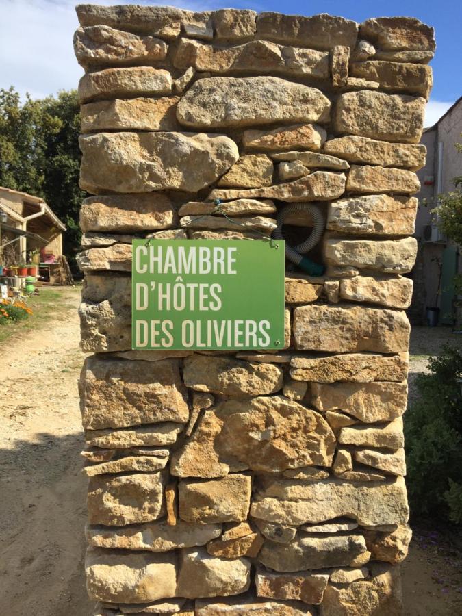 Chambre D'Hotes Des Oliviers Ла-Рок-сюр-Сез Экстерьер фото